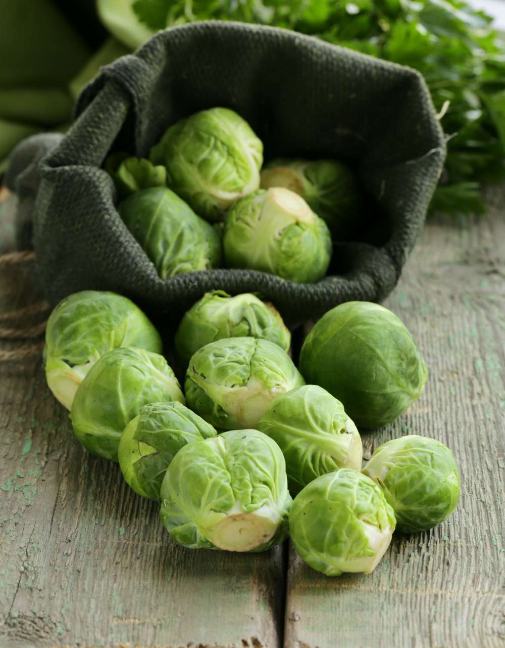 Brysselkål 'Groninger' (BIO frö)